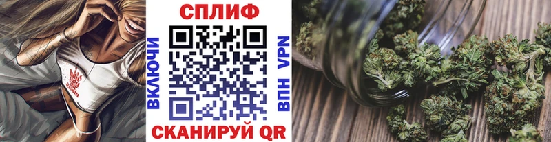 Купить где  Ноябрьск  Канабис OG Kush 
